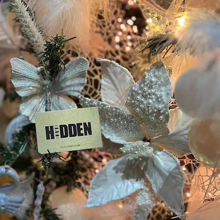 شقة Hidden Bank: First Million *